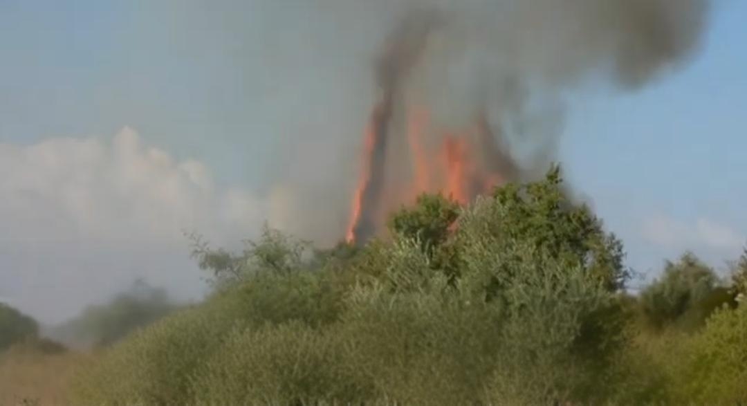 Inside Rafah with IDF as war rages on
