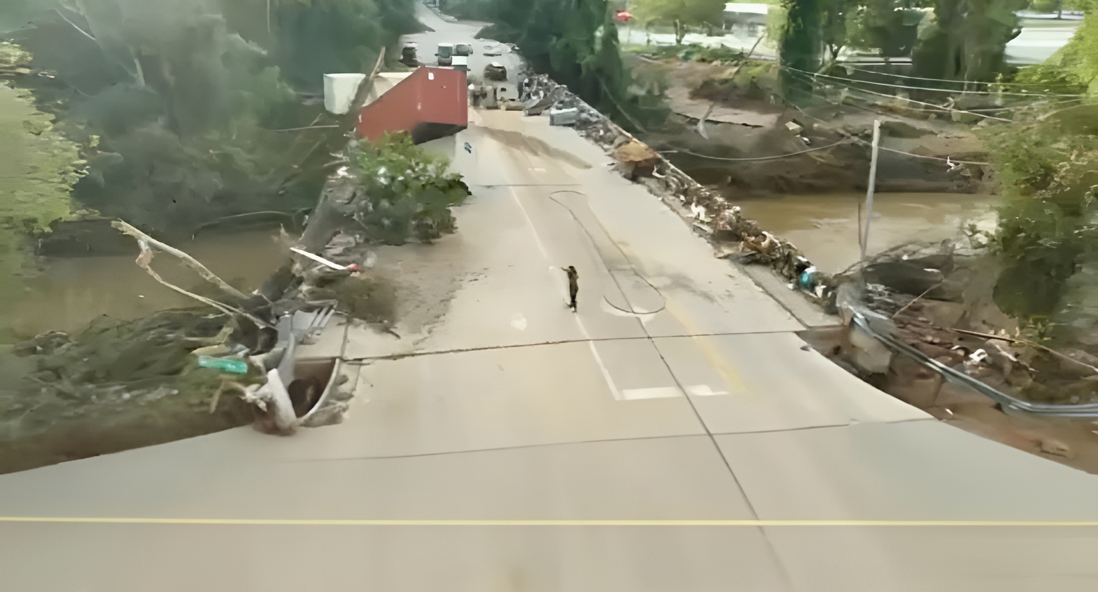 The death toll from Hurricane Helena/ has reached at least 182 people