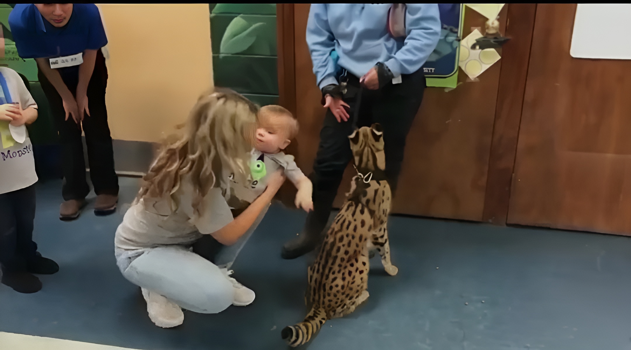 Hundred of faculties in the U.S offer human interaction with wild or exotic animals